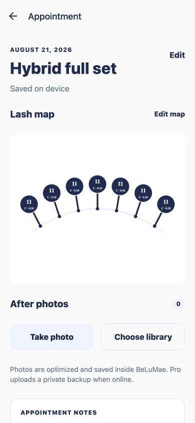 BeLuMae appointment record showing a saved lash map